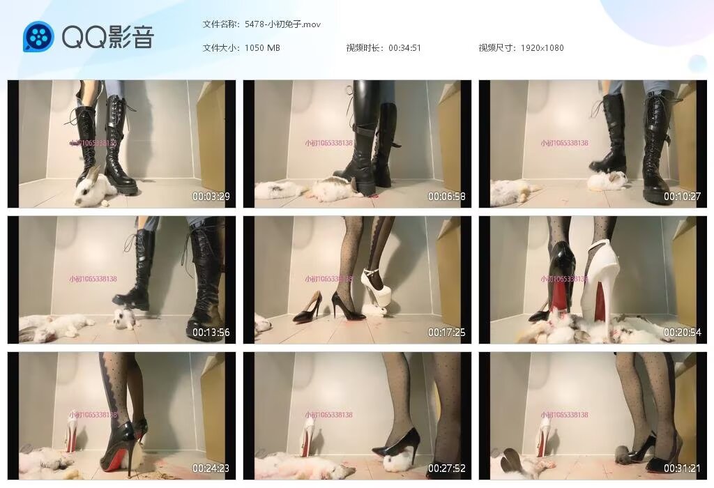 5478-小初兔子[202